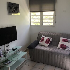 Smart-TV, DVD-spiller, bøker og stereoanlegg