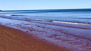 Una playa con arena húmeda y rocas dispersas, que se extiende hasta olas oceánicas tranquilas bajo un cielo despejado.