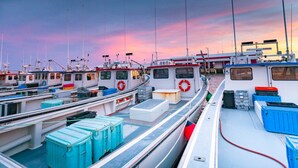 Un puerto deportivo con varias embarcaciones amarradas, con boyas salvavidas, contenedores de almacenamiento y cielo despejado.