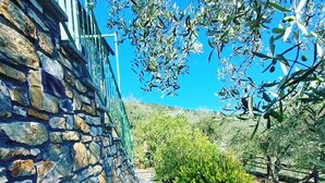 Un mur de pierre surmonté d’une rambarde métallique, un ciel bleu dégagé et un feuillage verdoyant.