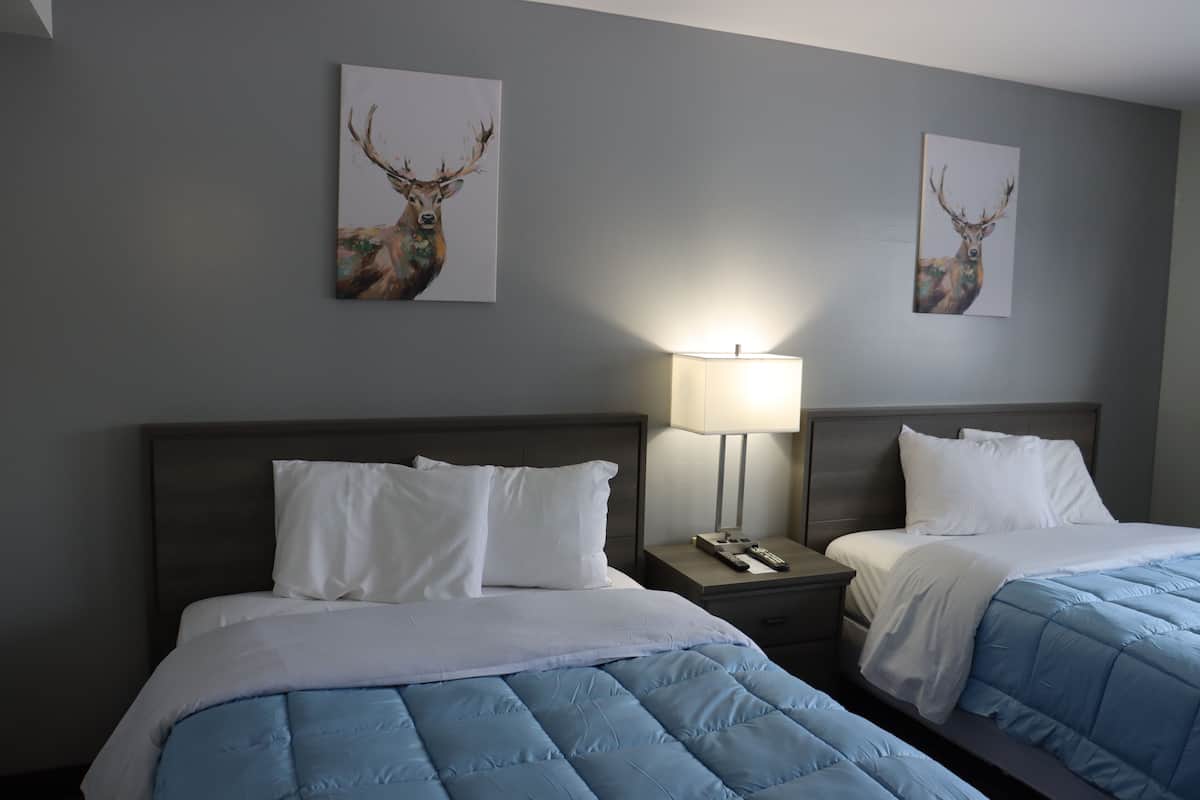 Basic Double Room | Desk, WiFi (free)