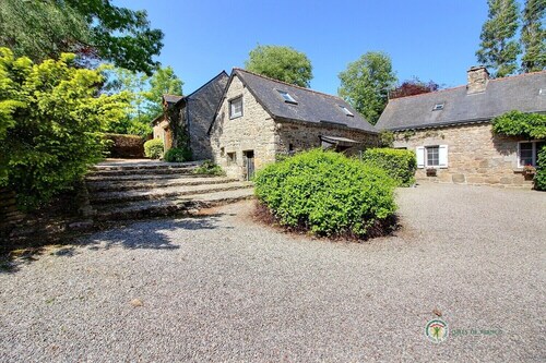 Cornflower - SAINT GILDAS