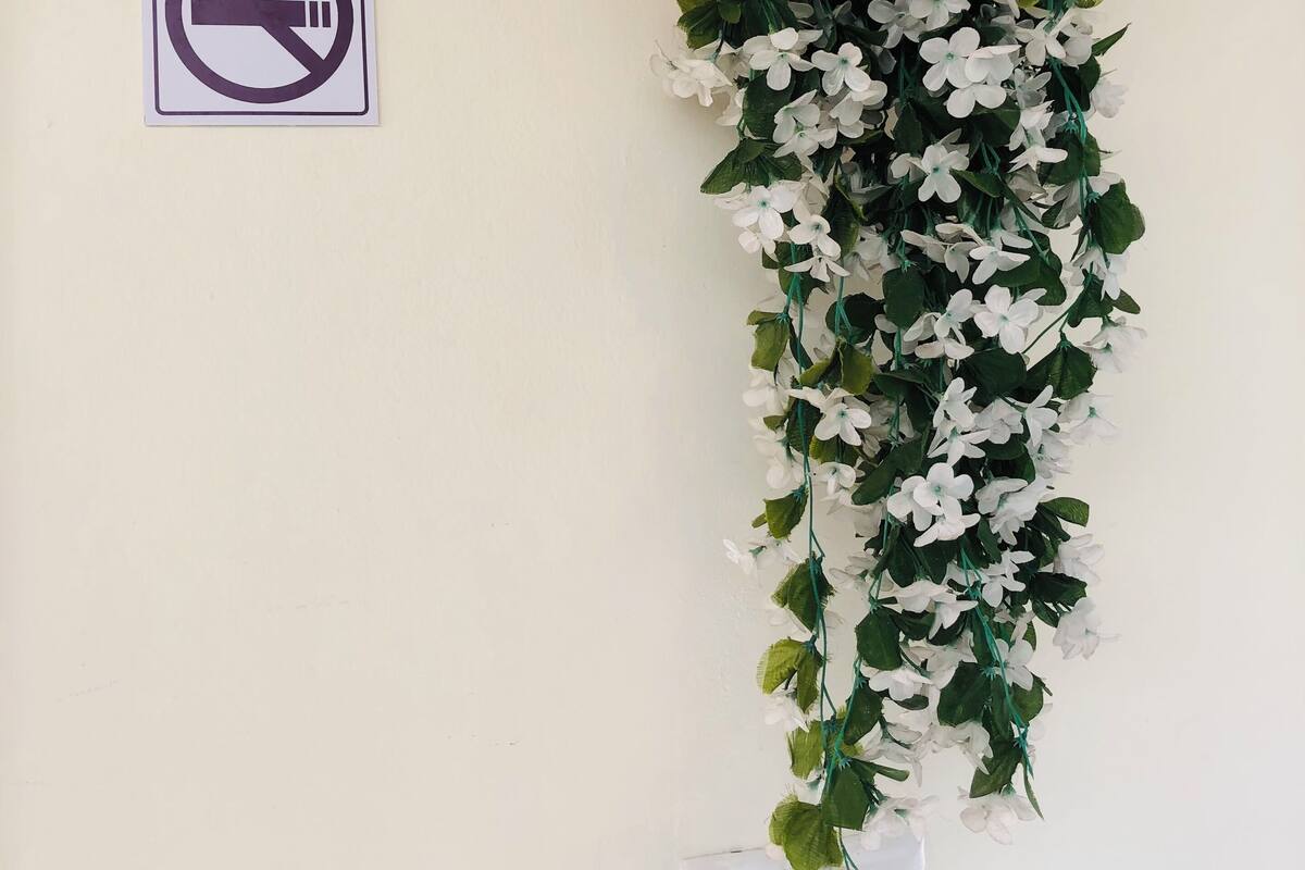 A wall with a 'No Smoking' sign, a 'Corales' sign, and a vertical floral decoration.