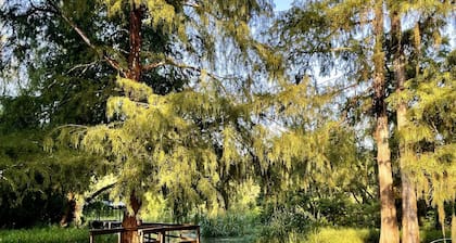 Charming cabin on Lower Grand River — Bayou Pigeon, Louisiana