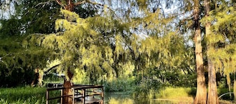 Charming cabin on Lower Grand River — Bayou Pigeon, Louisiana