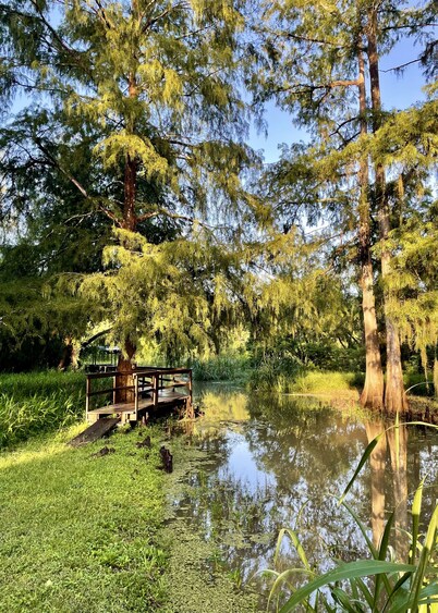 Charming cabin on Lower Grand River — Bayou Pigeon, Louisiana