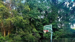 An outdoor basketball court with a hoop, surrounded by grass and trees. - Family-Friendly Home with Downstairs Suite (Decatur)