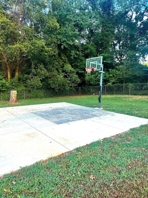 An outdoor basketball court with a hoop, surrounded by grass and trees. - Family-Friendly Home with Downstairs Suite (Decatur)