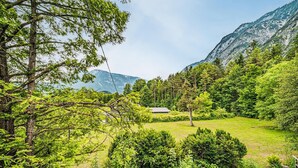 Ett frodigt, grönt landskap med ett litet hus omgivet av täta träd och ett berg i bakgrunden.