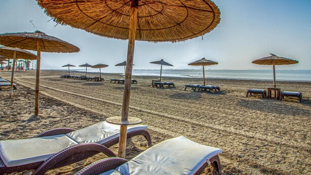 Una spiaggia con file di lettini e ombrelloni di paglia.