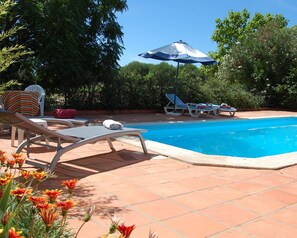 Outdoor pool - Amendoeiras House - Holiday Home with Private Pool - Sustainable Tourism. (Abrantes)