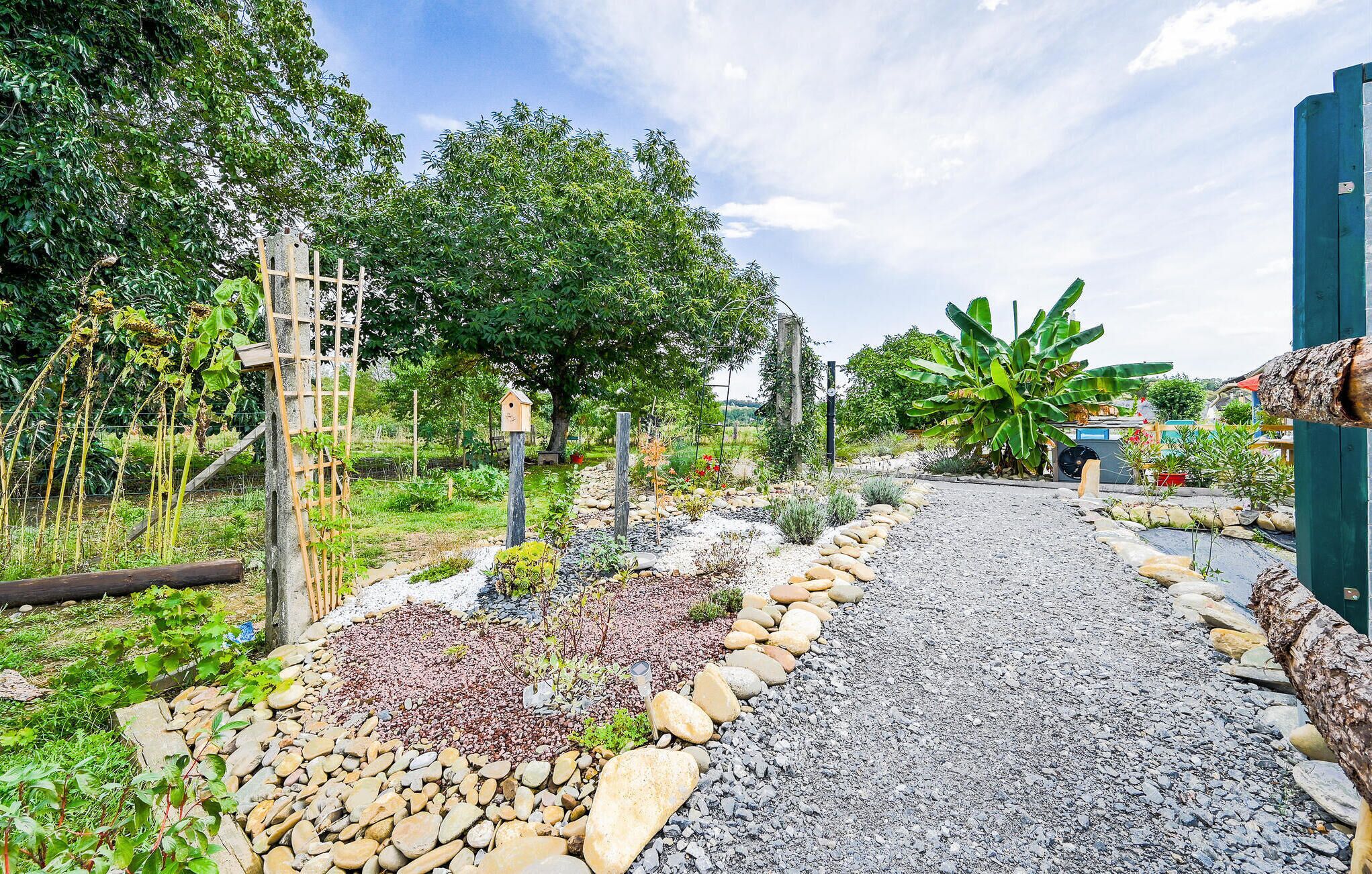 A garden pathway with a variety of plants and a wooden structure.