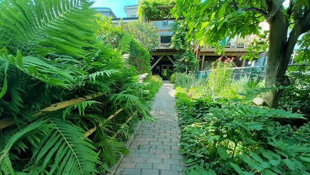 A paved pathway flanked by dense green foliage, leading to a building with a wooden structure and a fence.