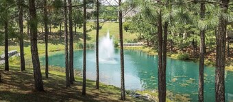 Family-sized Cottage, minutes away from Water Country USA & Busch Gardens!