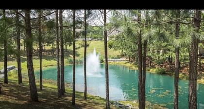 Family-sized Cottage, minutes away from Water Country USA & Busch Gardens!