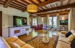 TV, fireplace