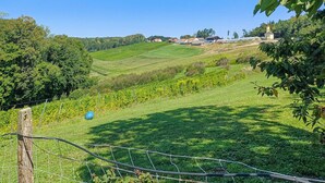 Paesaggio rurale con dolci colline, vigneti e una piccola chiesa.