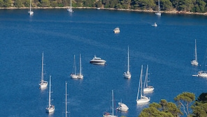 Puerto deportivo