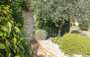 Property grounds - Lovely home in Buje with WiFi (Buje)