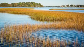 In Strandnähe, Liegestühle, Strandtücher