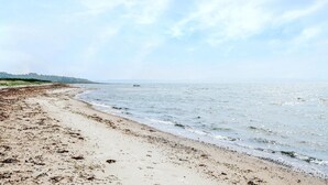 A beach with a sandy shore and calm water.