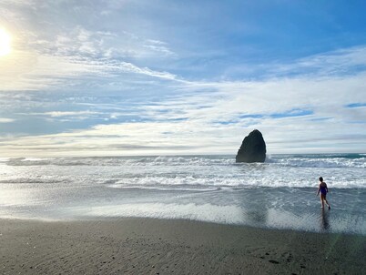 Hummingbird Vista! Scenic River and Ocean Views & Hot Tub - 4WD RQD