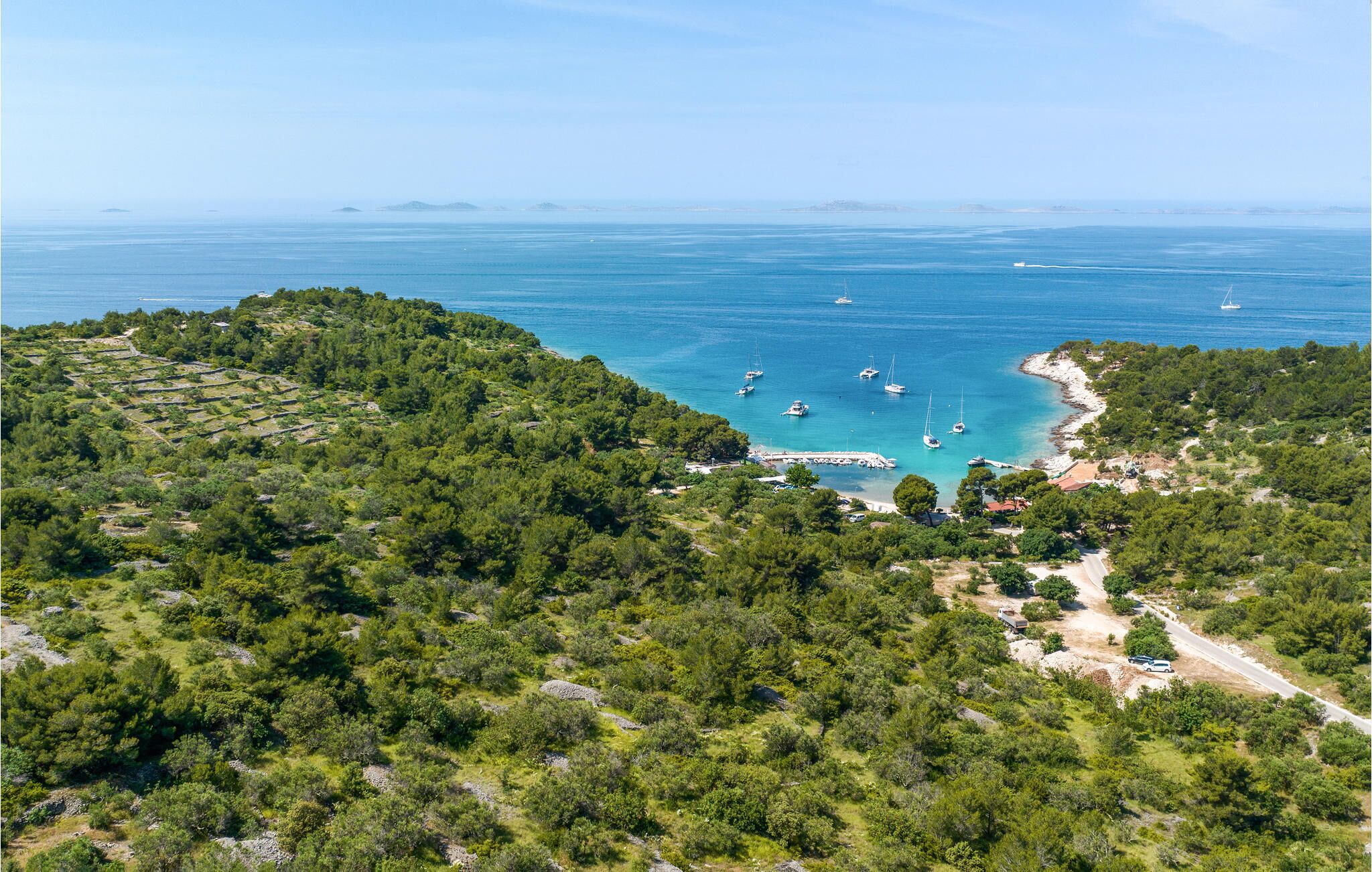 A coastal area with a marina, surrounded by dense green forest.
