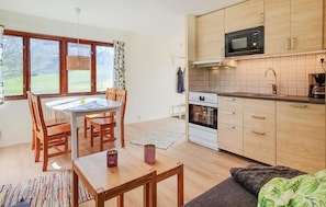 Kühlschrank, Mikrowelle, Herdplatte, Geschirrspüler