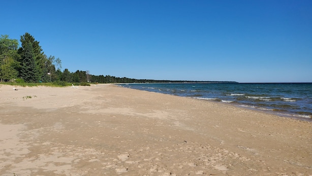 Una playa con una orilla arenosa y una línea de árboles al fondo.