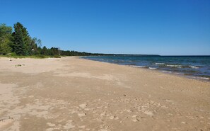 Une plage avec une rive sablonneuse et une rangée d’arbres en arrière-plan.