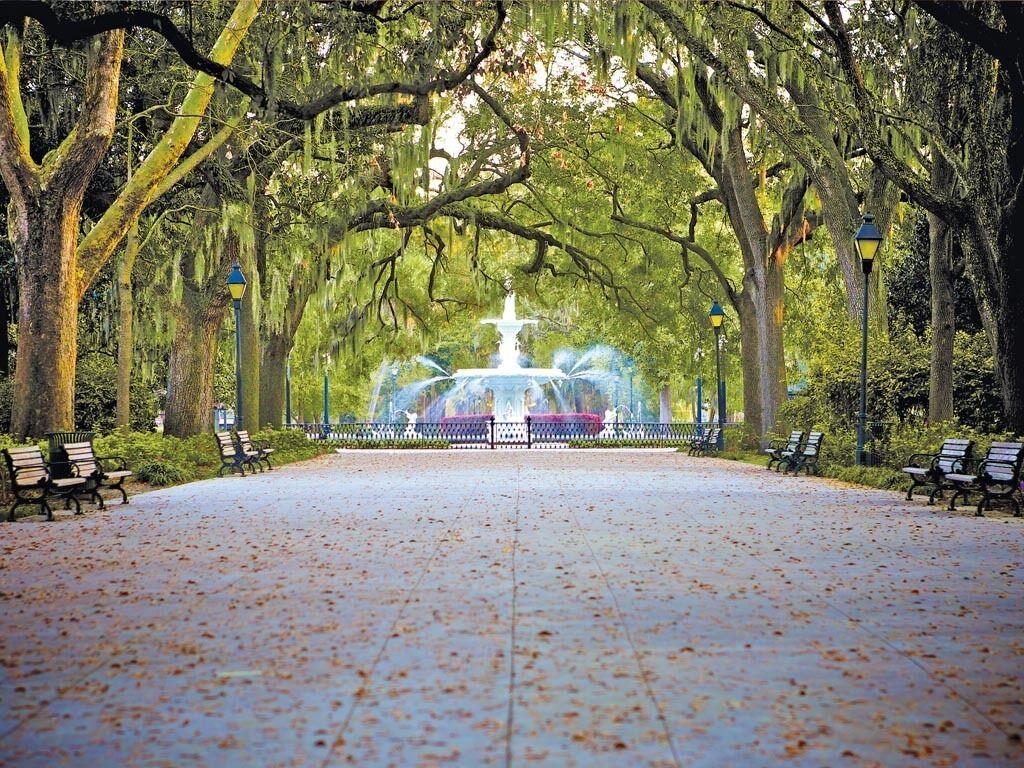 Un parque con una fuente central, bancos y árboles con musgo colgante.