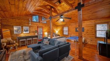 Télévision, cheminée, livres