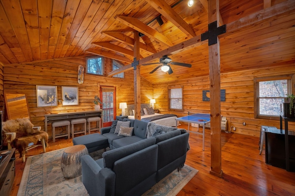 Télévision, cheminée, livres