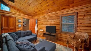 TV, fireplace, books