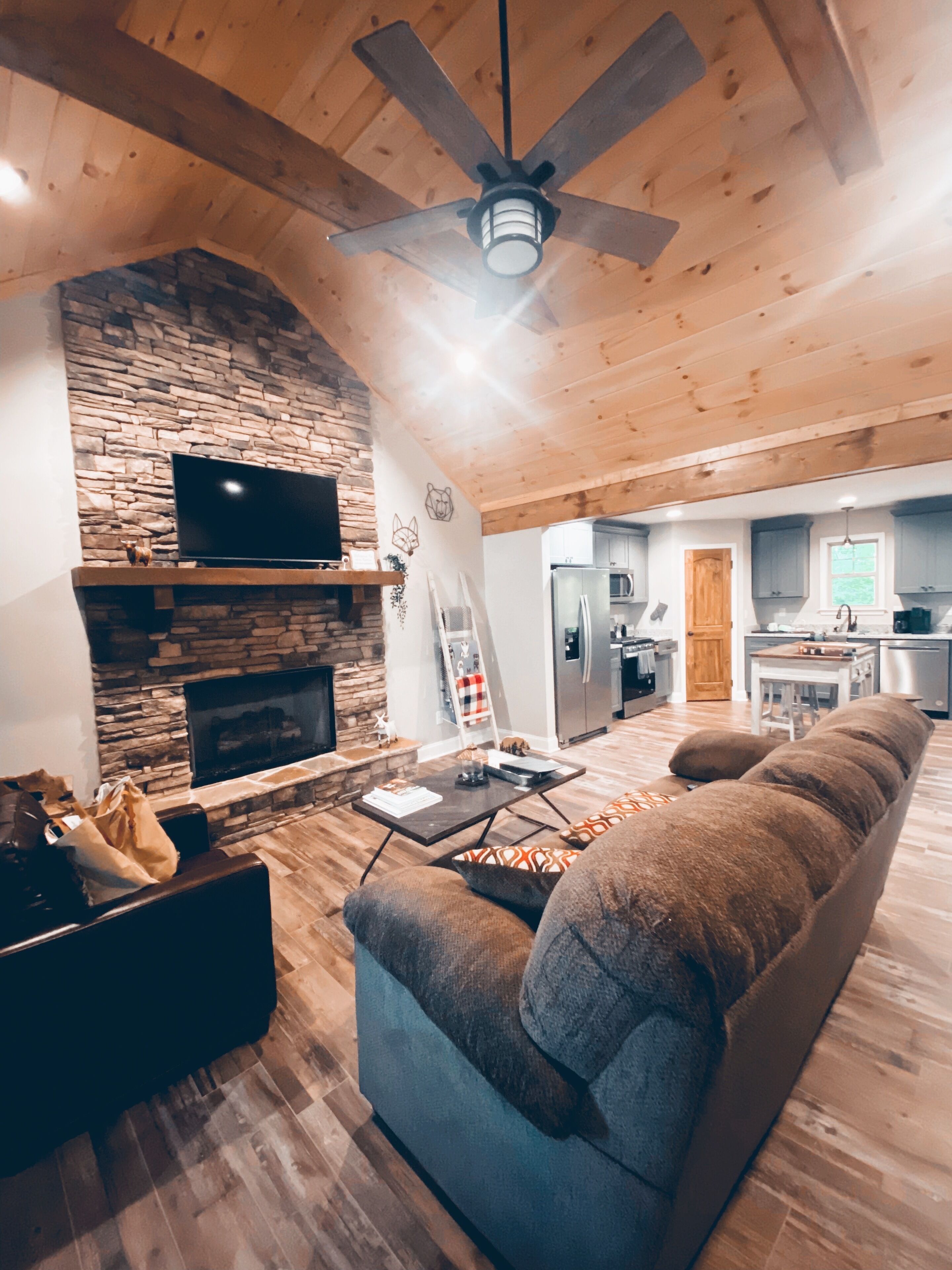 Smart TV, fireplace, video games, books