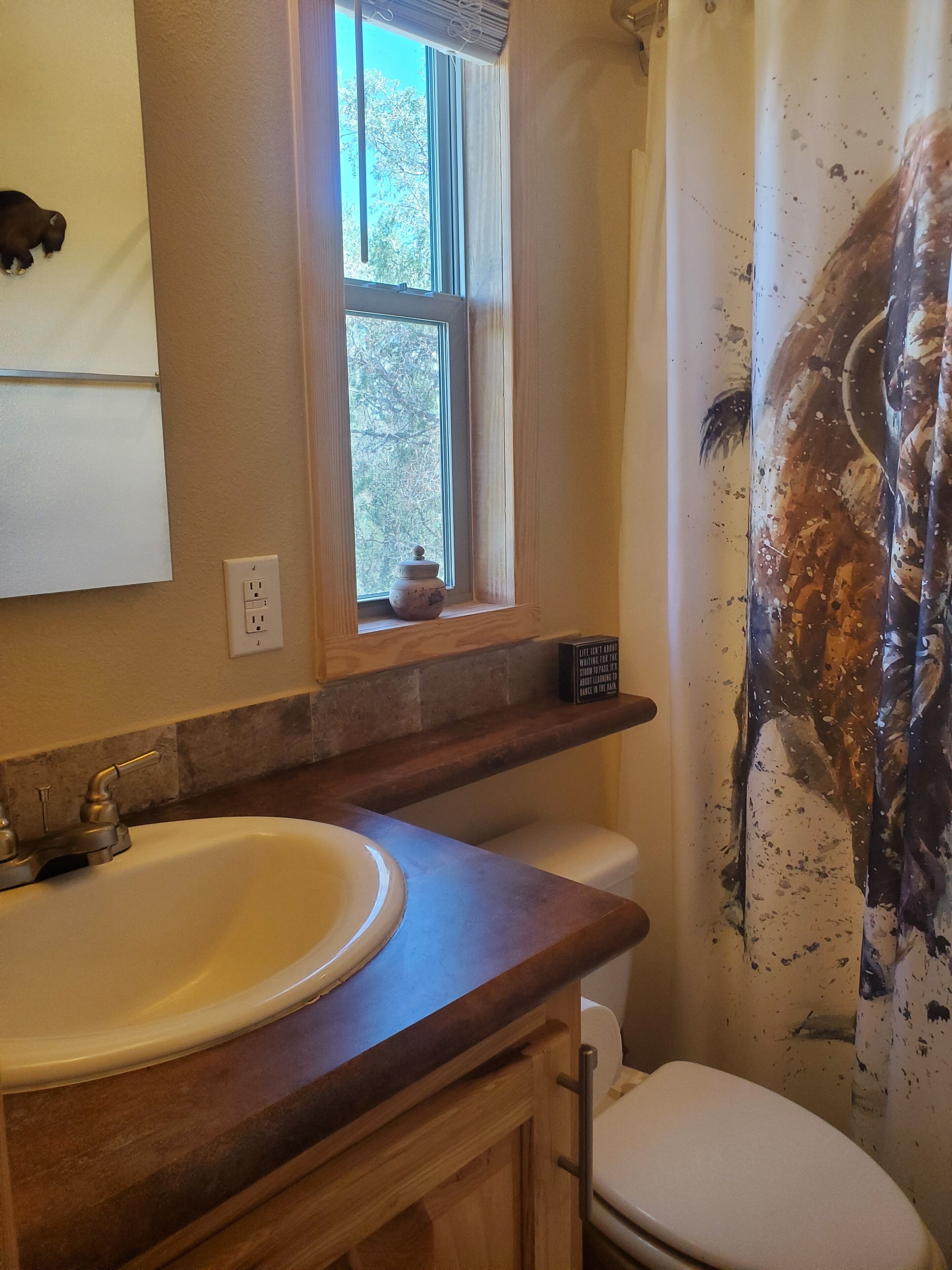Combined shower/tub, hair dryer, towels, shampoo