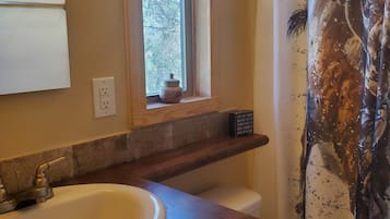 Combined shower/tub, hair dryer, towels, shampoo