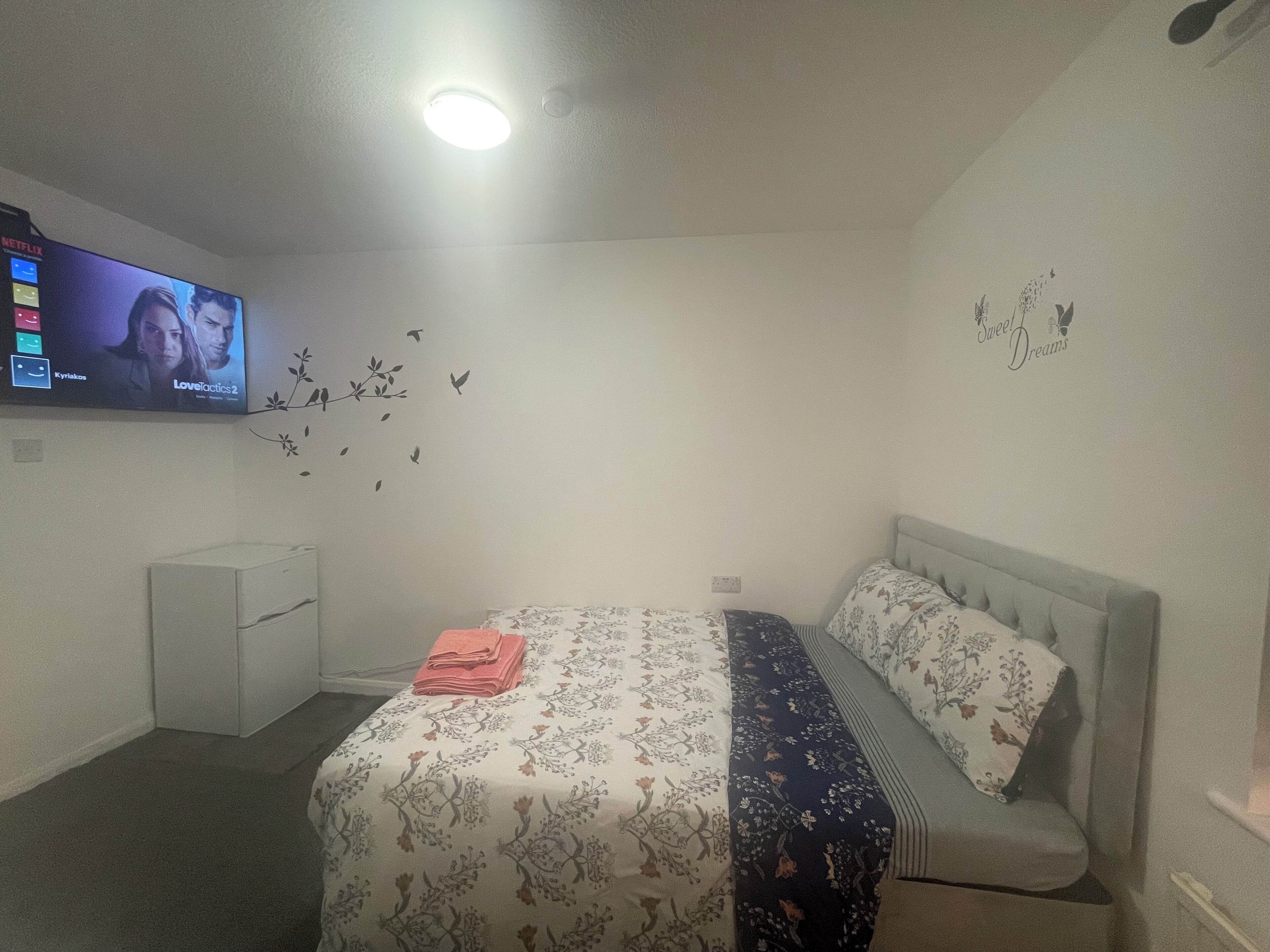 Een slaapkamer met een bed, een tv aan de muur, een klein bureau en een vogeldecoratie.
