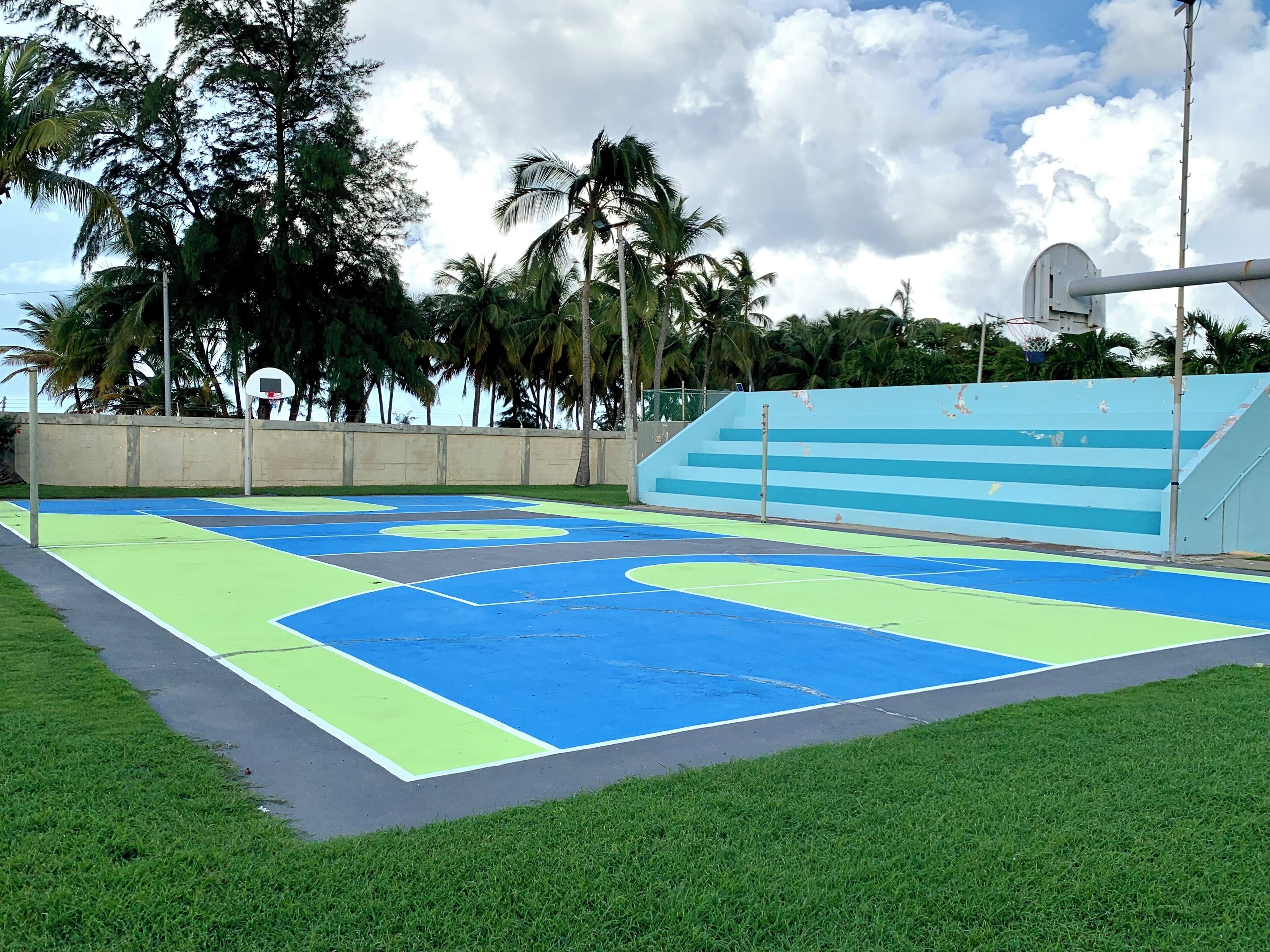 An outdoor basketball court with a blue and green playing surface, surrounded by grass and palm trees.