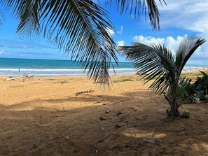 On the beach, sun loungers, beach towels