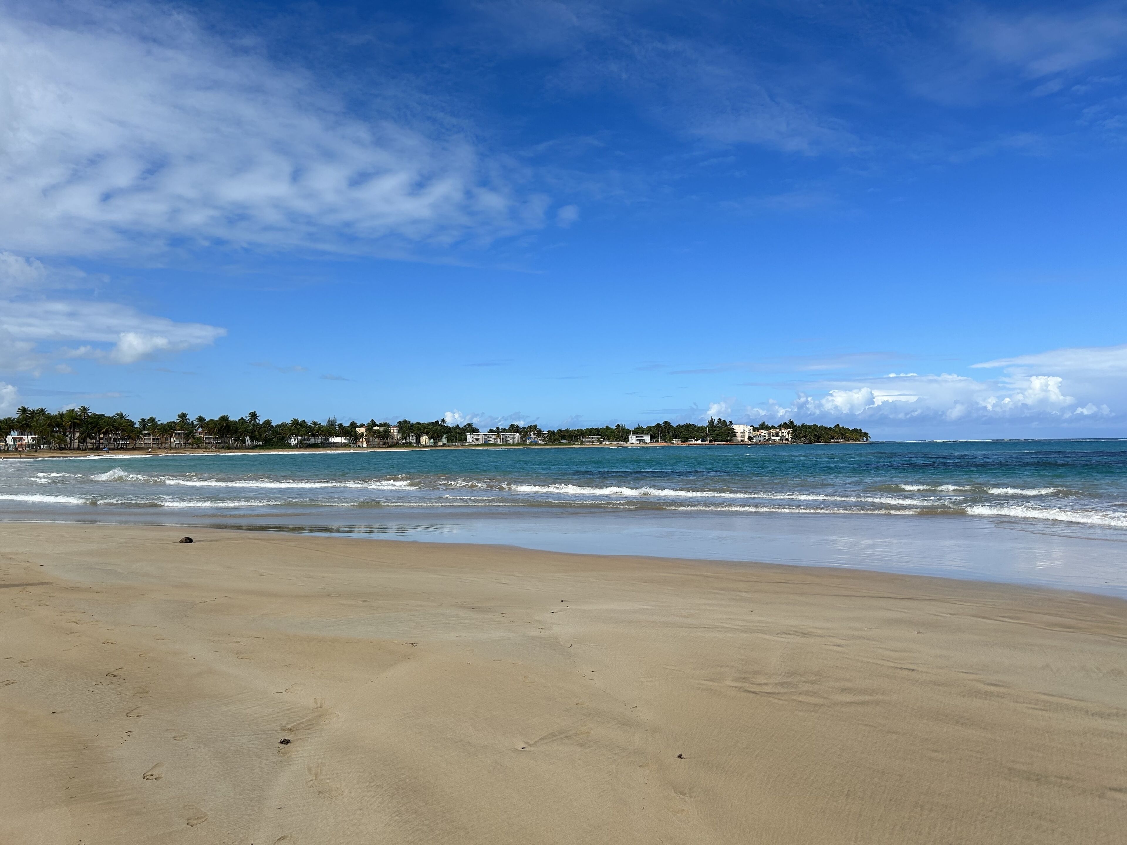 Una playa con cielo despejado, mar tranquilo y una costa lejana con edificios y palmeras.
