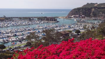 A marina with numerous boats docked, a coastal town in the background, and a prominent hill with a structure on top.