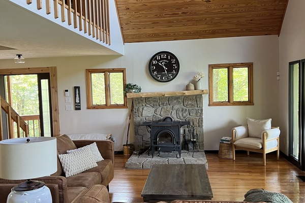 Smart-tv, pejs, videospil