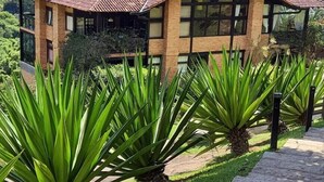 A modern building with a brick facade and large windows, surrounded by a well-maintained garden with agave plants.
