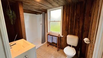 Een badkamer met een houten plafond, een wit toilet, een wastafel en een douche.