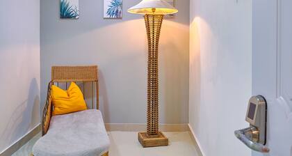 Malecon Premium Plus