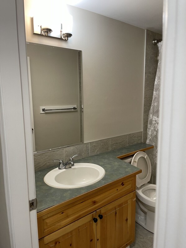 Une salle de bain avec un lavabo blanc, un meuble-lavabo en bois, un miroir, des toilettes et un rideau de douche.