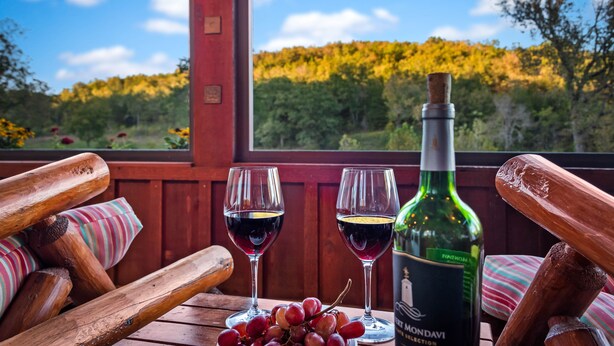 Een houten tafel met twee wijnglazen en een fles wijn, een tros druiven, en een mooi uitzicht op bomen en de lucht door een raam.