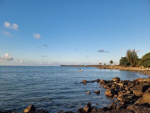 Apartment, 2 Bedrooms, Accessible, Balcony | Beach - Residence La Colombe Vacation Rentals (Mont Choisy)