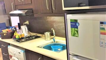 Apartment, 1 Bedroom, Accessible, Smoking | Private kitchen